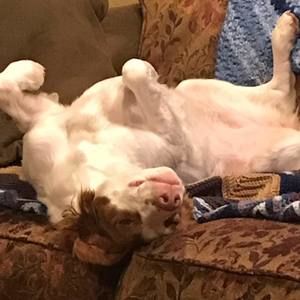 Meet your Posher, Becky